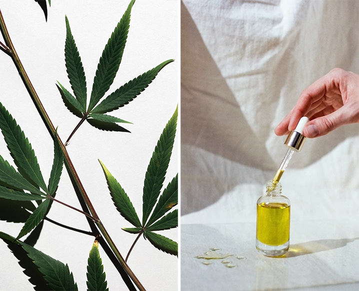 A Better Way To Buy Quality CBD Products Online